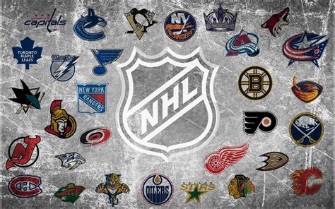 10 Most Valuable NHL Teams for 2013 | TheRichest