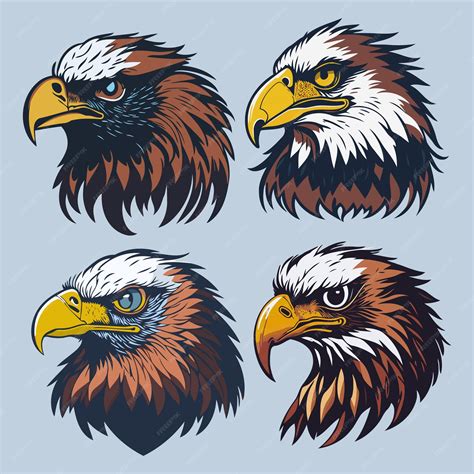 Premium Vector | A set of eagle head vector art and illustration