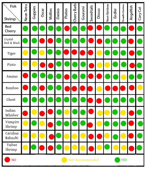 Freshwater Shrimp & Fish Compatibility Chart [Illustrated] – Acuario Pets