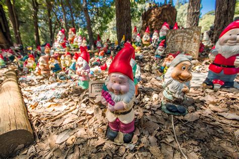 Garden Gnome Colonies Around the World