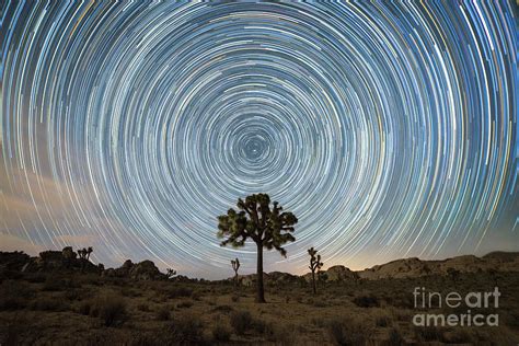 Joshua Tree Star Trails Photograph by Michael Ver Sprill