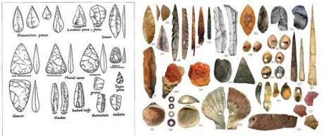 Neanderthals Invented Specialised Bone Tools - Paperblog