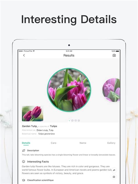 Flower Recognition App Ipad | Best Flower Site