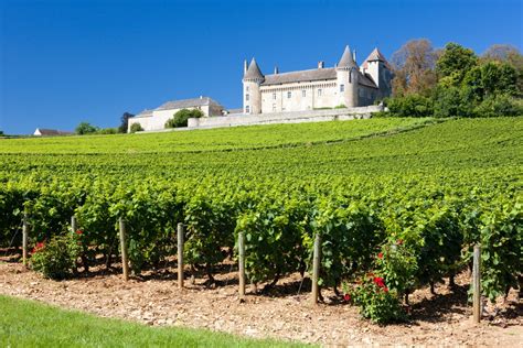 French Red Wine: Guide to an Unforgettable Journey | Cellar Tours™