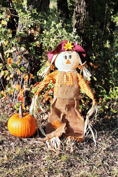 Scarecrow And Pumpkin Free Stock Photo - Public Domain Pictures