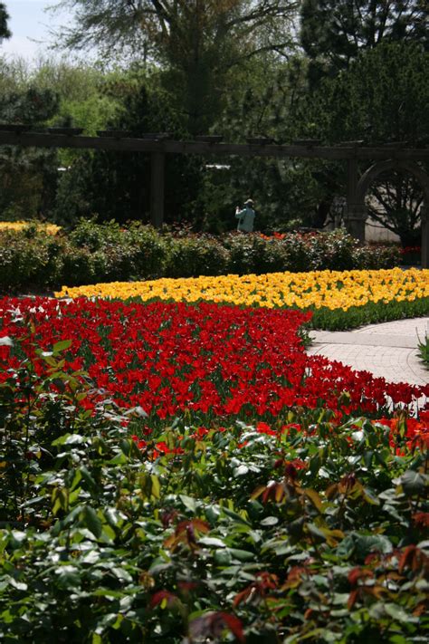 Botanica, Wichita, Kansas - Been a long time since I've been to Botanica! | Road trip usa ...