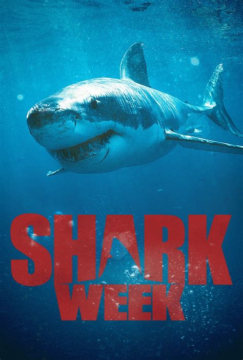 Shark Week coming to cinemas on July 18 | The Global Dispatch | The Global Dispatch