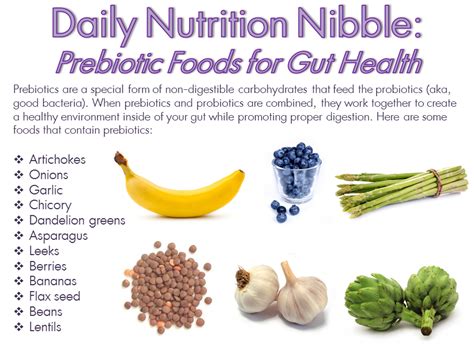 Prebiotics For Healthy Digestion - Rosanna Davison Nutrition