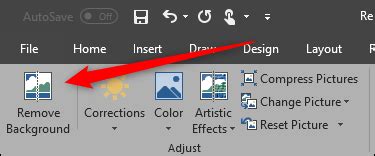 How to Remove the Background from a Picture in Microsoft Word