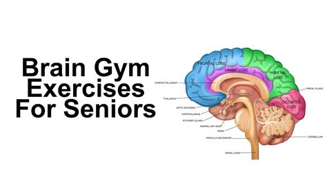 Brain Gym Exercises for Seniors - YouTube