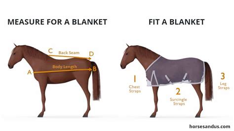 Australian Horse Rug Size Chart - Carpet Vidalondon