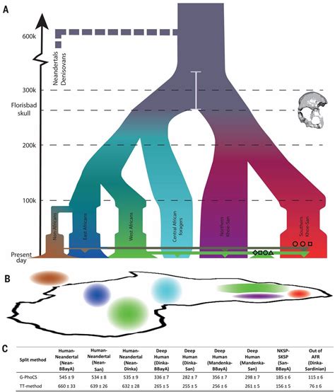 Rosa Rubicondior: DNA Shows Complex Human Evolution in Africa