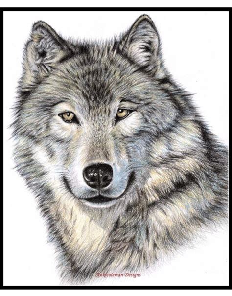 The Wolf Head – Counted Cross Stitch Patterns/Kits – Color Symbols Charts – Ankicoleman Designs ...