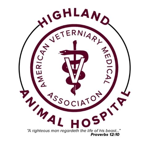 Boarding Success | Highland Animal Hospital