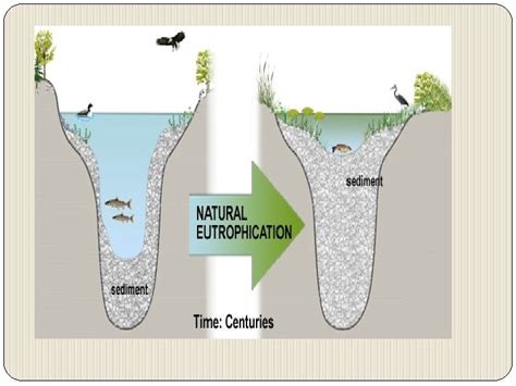 Water Pollution Examples of Polluted Waters WATER POLLUTION