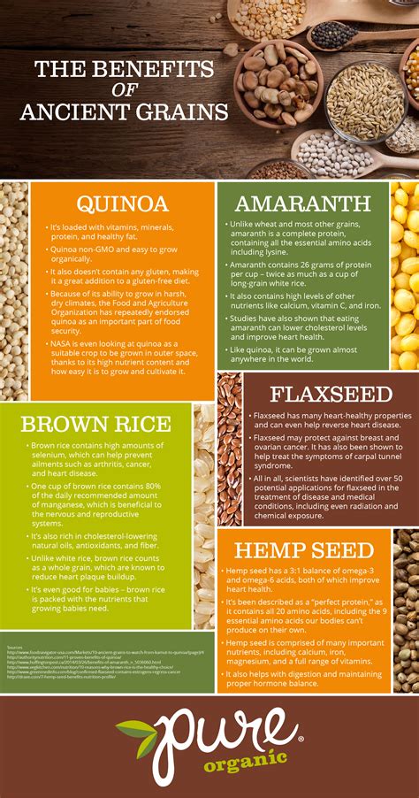 Why Eat Ancient Grains? Infographic