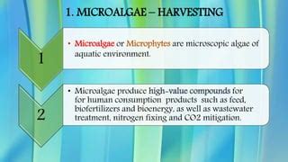 Technologies for Microalgae Harvesting | PPT