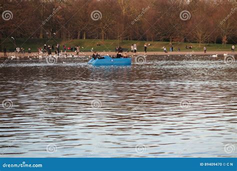 The Serpentine Lake in Hyde Park Editorial Image - Image of seagulls ...