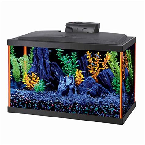 10 Best Petsmart Fish Tank Kits -Reviews, Ratings & Guide – Cchit.org