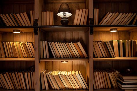 How to Choose the Perfect Bookshelf LED Light – EShine