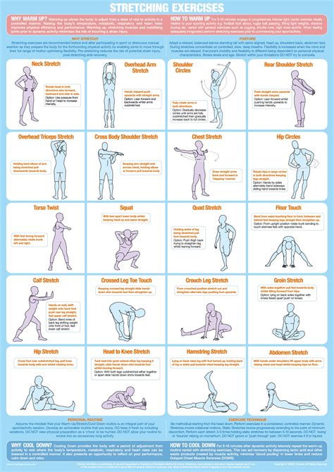 Printable Stretching Exercises