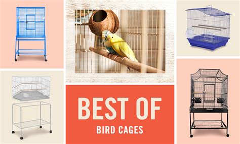 Pet Birds Cages