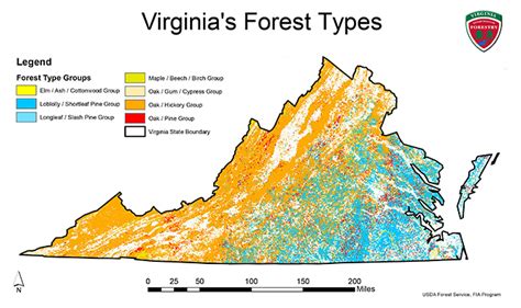 Virginia’s Forest Composition - Virginia Department of Forestry : Virginia Department of Forestry