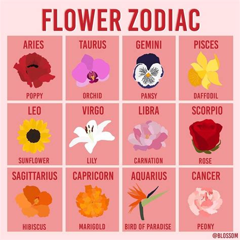 What Is The Flower For Cancer Zodiac