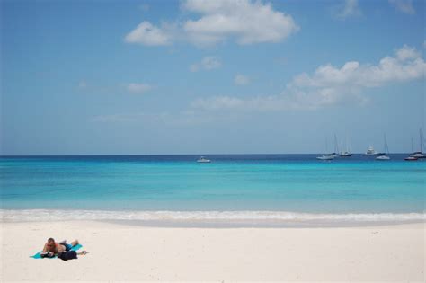 Barbados Carlisle Bay Snorkeling: Shipwrecks, Turtles & Tropical Fish