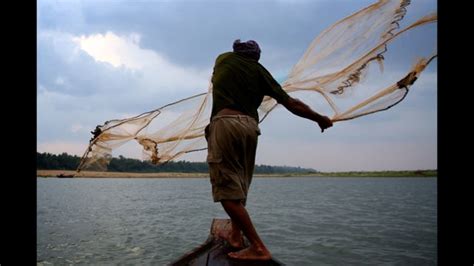 Mekong River Dolphins and People: Shared River, Shared Future - Documentarytube.com