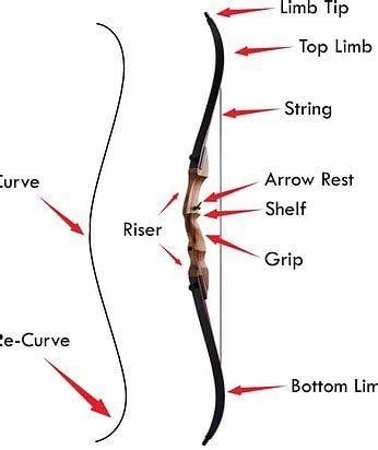 What bow types are available to the archer and hunter? » targetcrazy.com