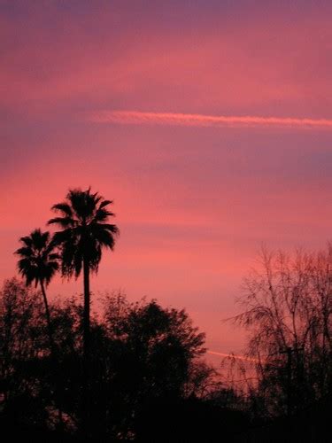 Pink Sky One | Wil Wheaton | Flickr