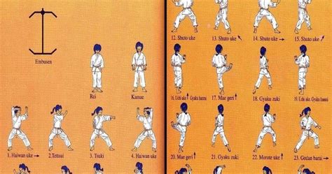 Kata Heian Nidan : Learning Karate At Home (1.2.2) ~ LEARNING EVERY ...