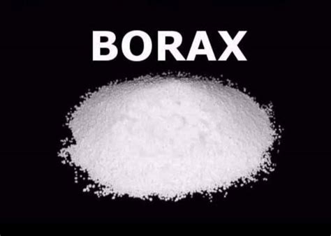 BORAX POWDER 20 MULE / ANT KILLER / TERMITE KILLER | Lazada PH