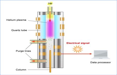 Gas Chromatography Detector (Type of GC Detectors) - PharmaSciences