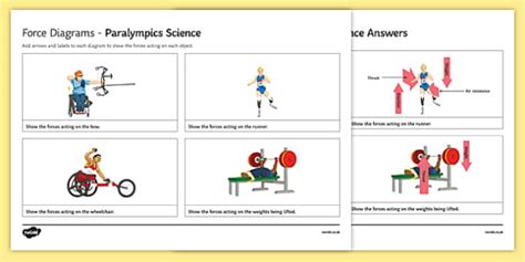 Force Diagrams Olympic Science Worksheet / Worksheet, worksheet