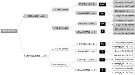 Experimental design. | Download Scientific Diagram