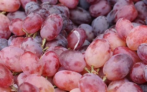 11 Popular Grape Varieties