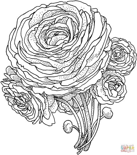 Realistic Flower Coloring Pages at GetDrawings | Free download