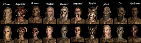 Races In Skyrim The Elder Scrolls V: With A Chart | hubpages