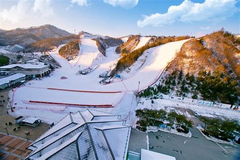 Bookafly | Activity | Elysian Gangchon Ski Resort Day Tour…