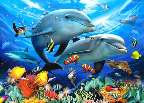 Rafa, Koralowa, Rybki, Delfiny | Dolphins, Dolphin art, Beautiful sea ...