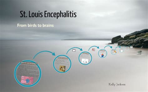 St. Louis Encephalitis by Kelly JACKSON on Prezi