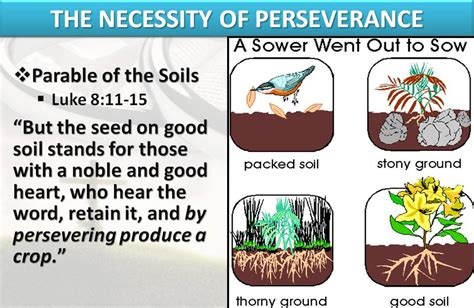 Shadow In The Son: Message- The Parable of The Sower - By Randall Nelsen