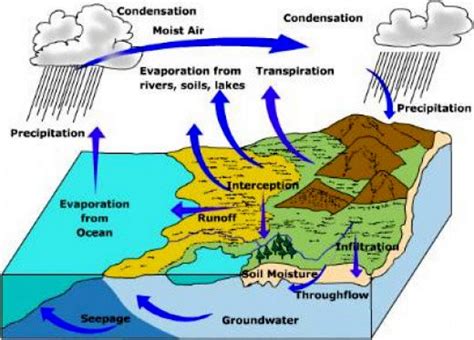 Water Cycle Diagram Labeled With Infiltration