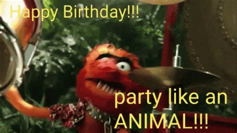 Birthday Muppets GIF - Birthday Muppets Party - Discover & Share GIFs