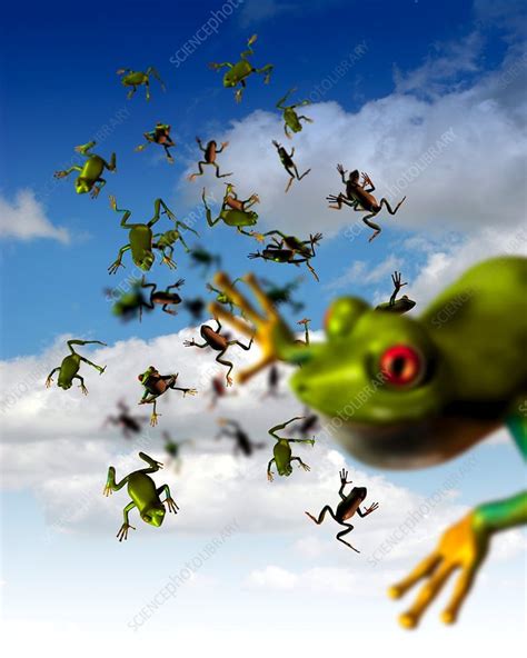 Raining frogs, artwork - Stock Image - C001/6793 - Science Photo Library