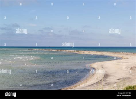 Anholt island, seals hi-res stock photography and images - Alamy