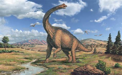 Sauropod dinosaurs videos, news and facts | Dinossauros, Animais pré-históricos, Monstros marinhos