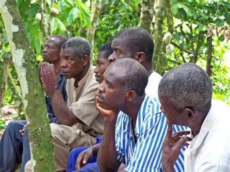 New Tools for Climate-Smart Cocoa Farming in Ghana | Rainforest Alliance